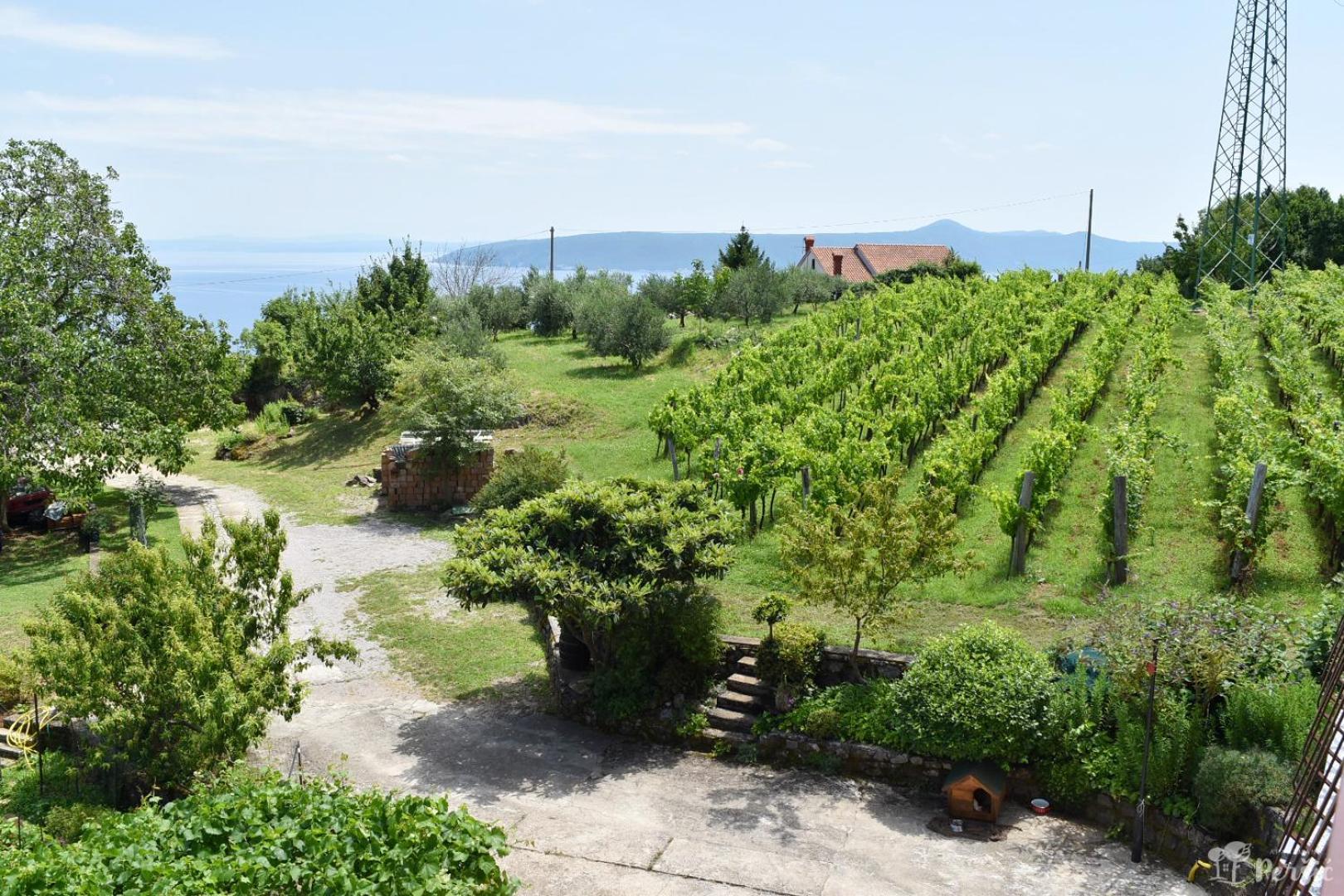 Apartman Persic Mošćenička Draga 外观 照片